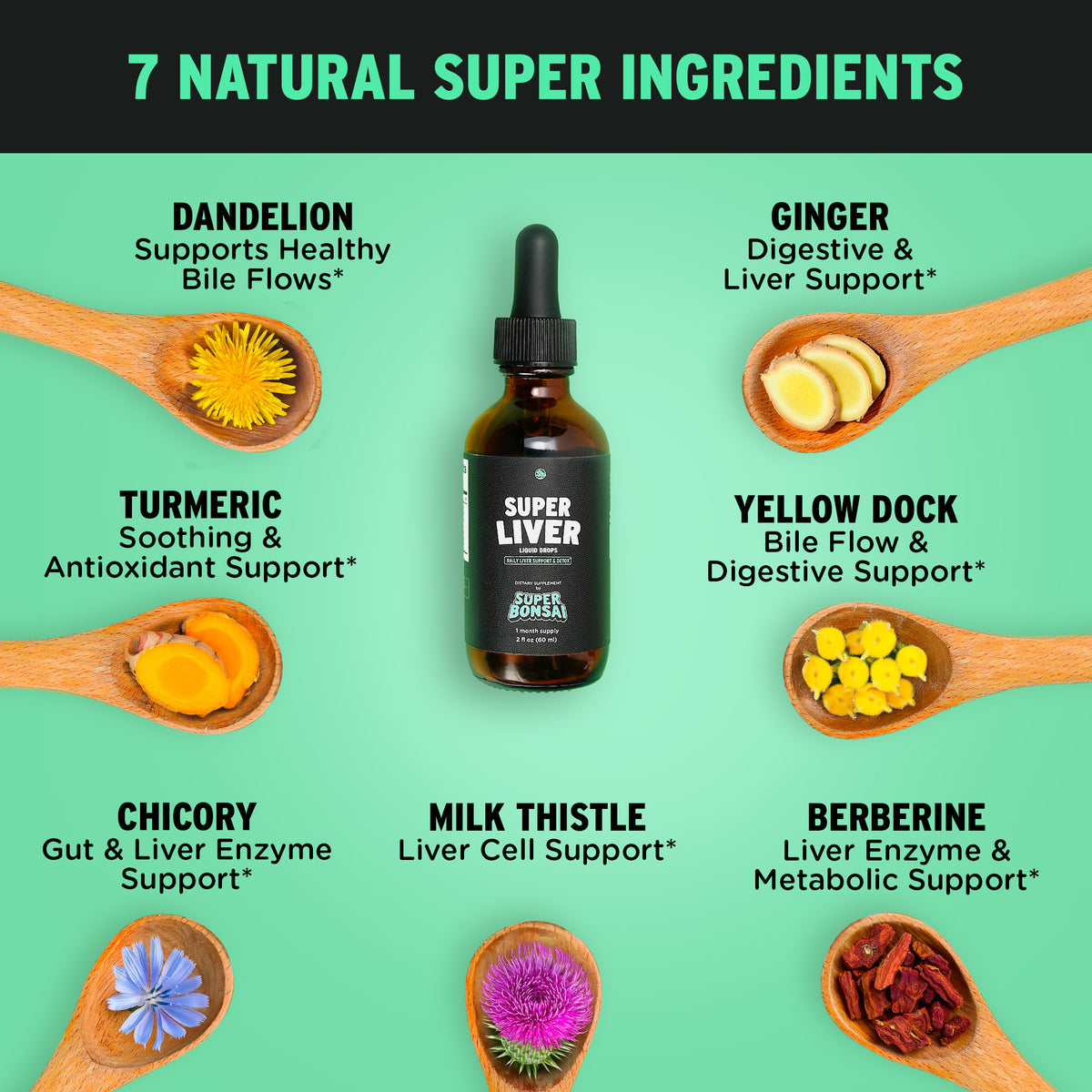 Milk Thistle Herbal Liquid Supplement - Doctor-Formulated Botanical Blend with Milk Thistle and Dandelion Root